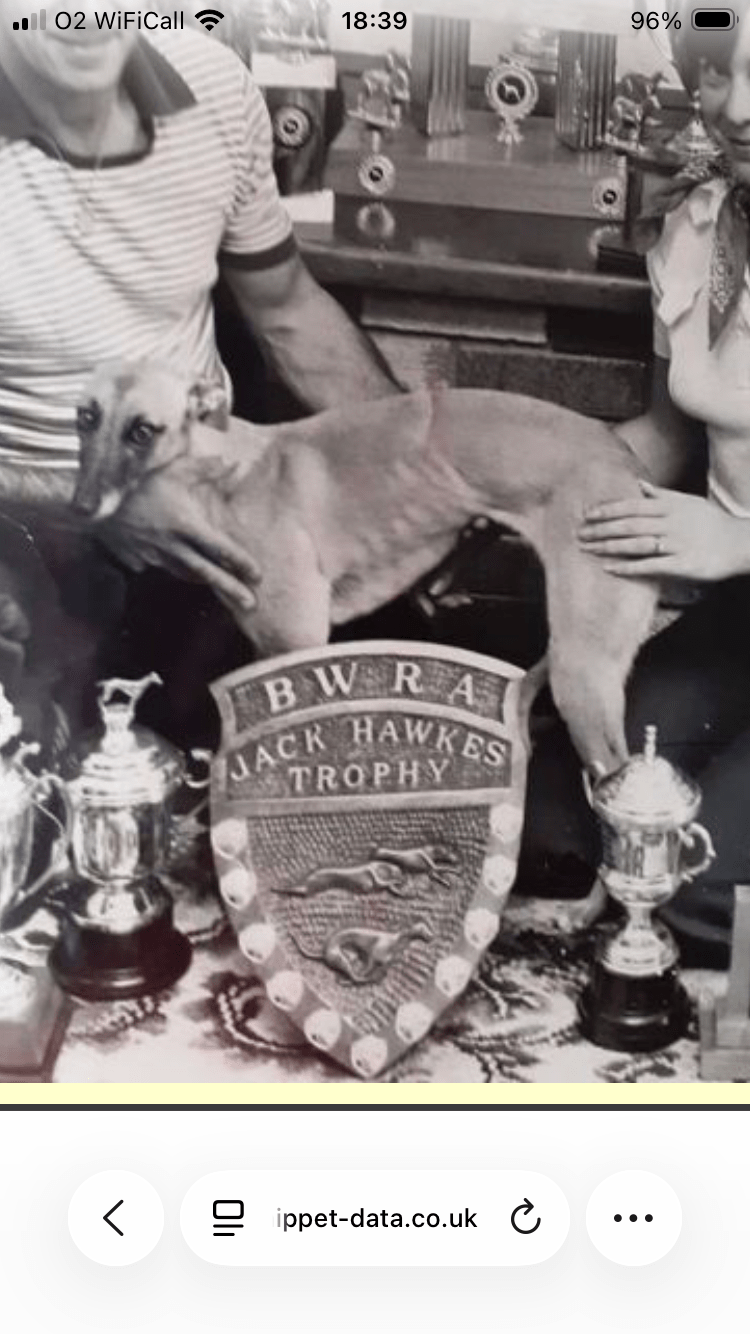 The Racing Whippet&nbsp;Monarchy